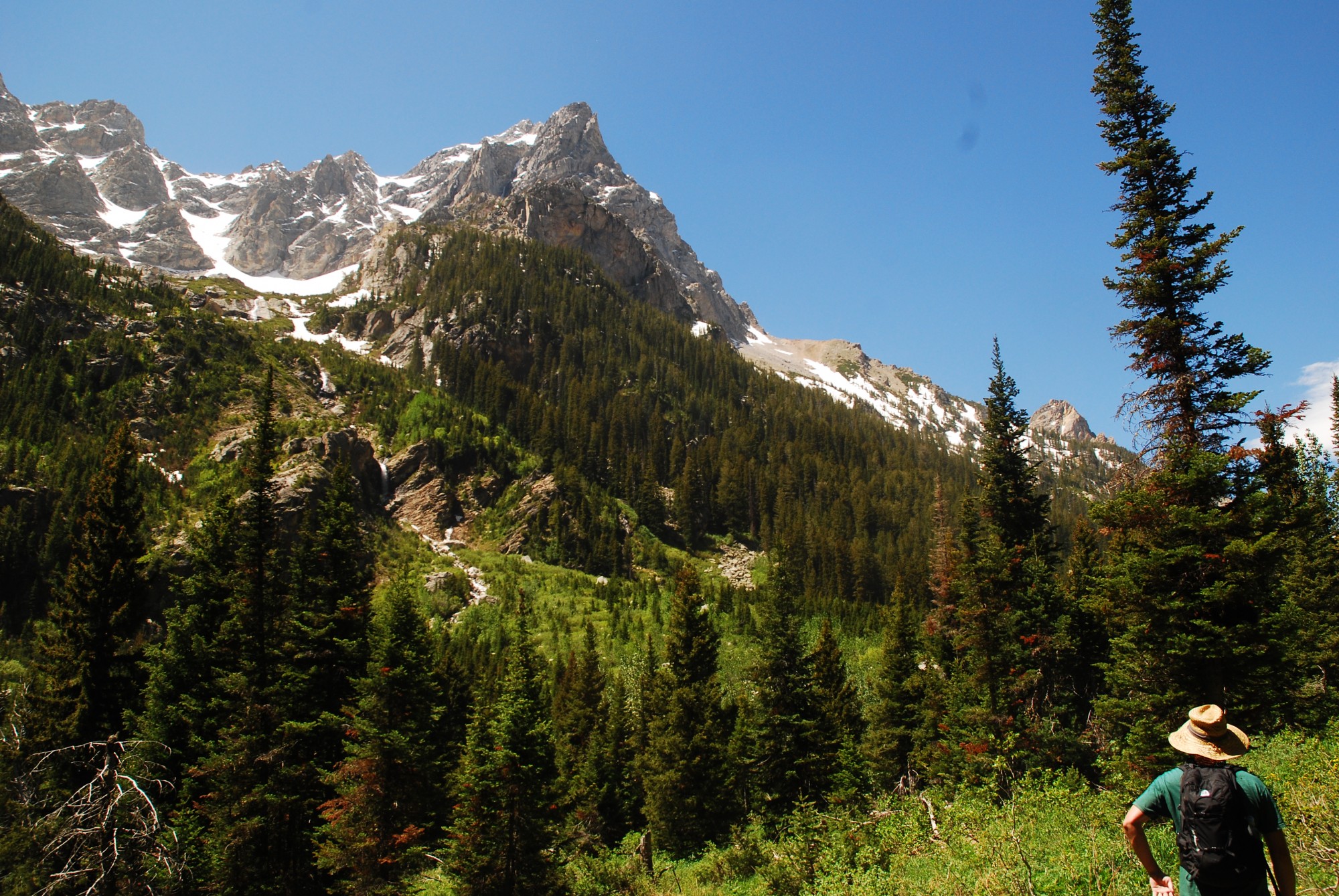 cascade canyon trail tetons