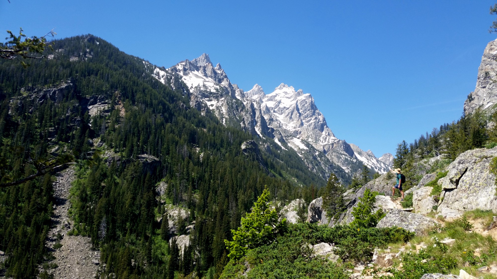 cascade canyon trail tetons