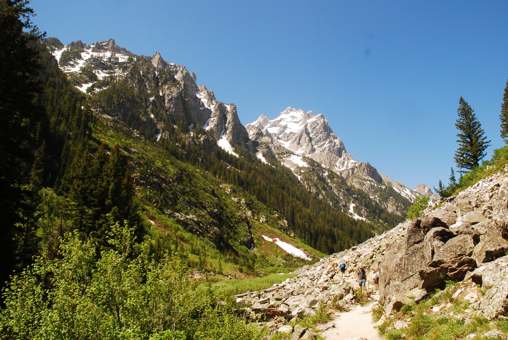 cascade canyon trail tetons