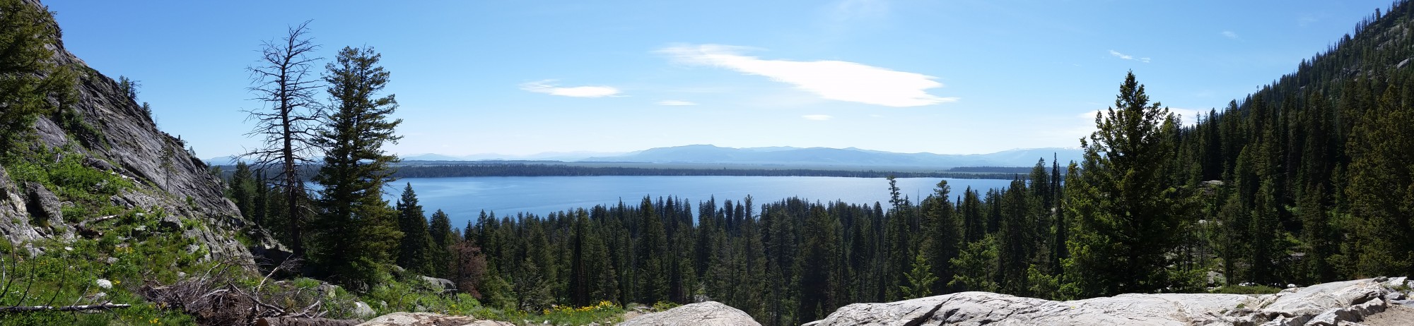 phelps lake loop trail overlook