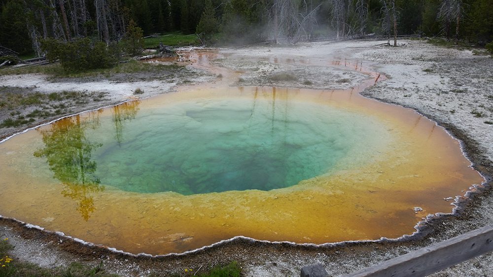 yellowstone national park morning glory geyser