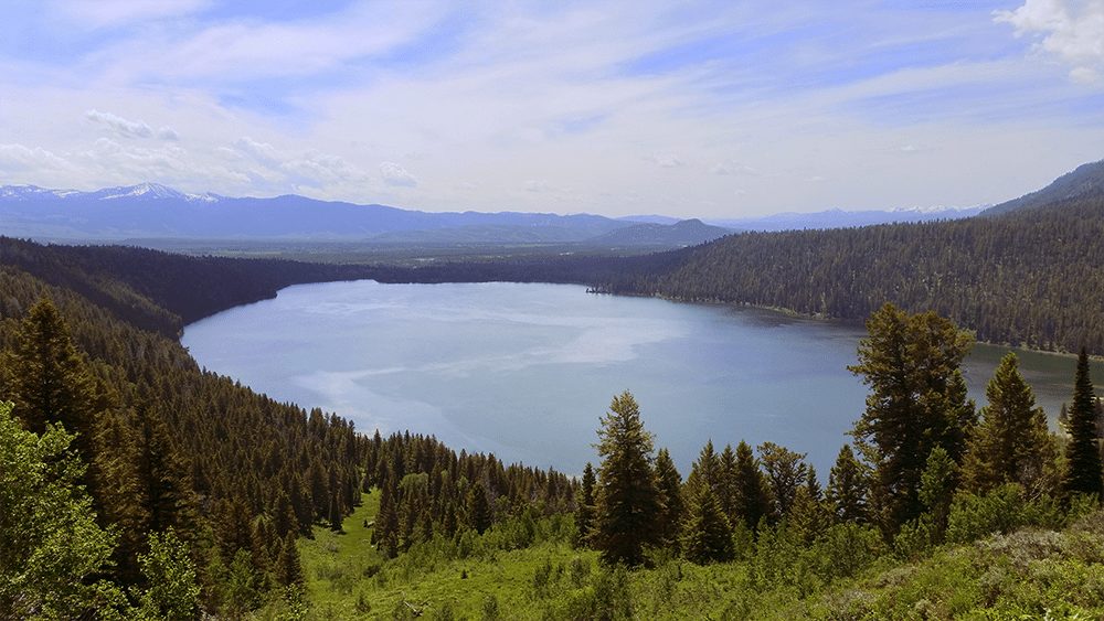 phelps lake loop trail overlook