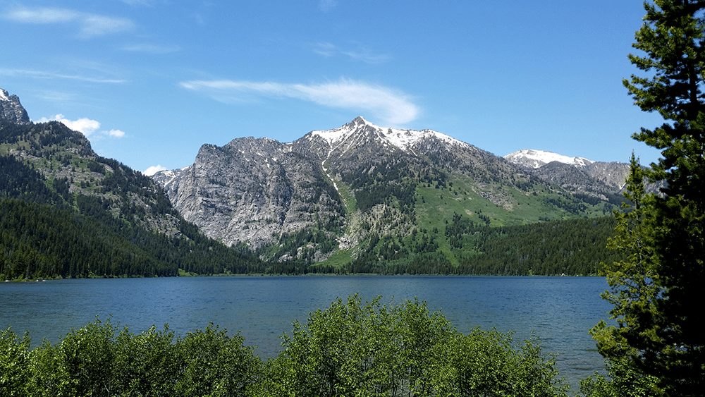 phelps lake loop trail overlook