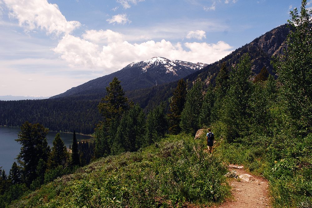 phelps lake loop trail tetons