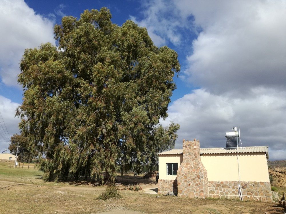 hanjie cabin travellers rest cederberg