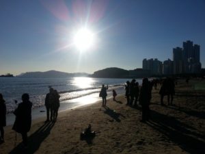 Busan Beaches