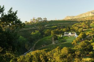 constantia glen