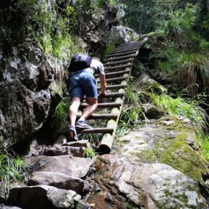 skeleton gorge trail table mountain