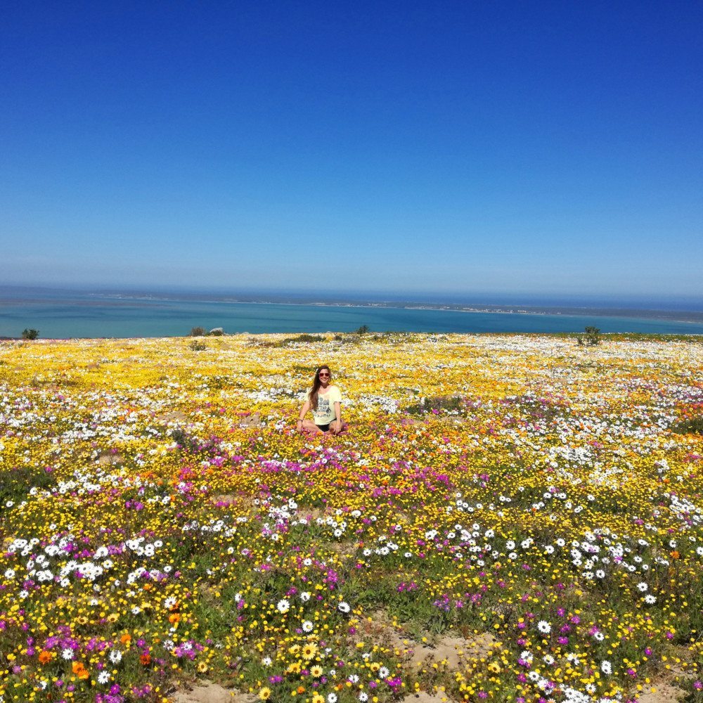 flower viewing west coast national park