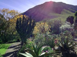 fernkloof nature reserve