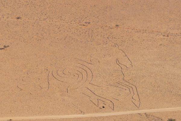 giant desert horse art